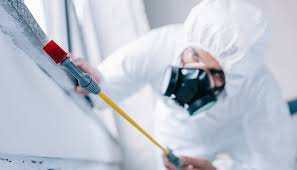 Reliable Panacea, FL Pest control Solutions